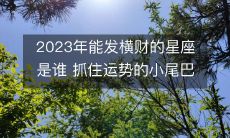2023年谁能在财运上名利双收?捕捉命运的细微线索,敬请期待飞黄腾达的星座