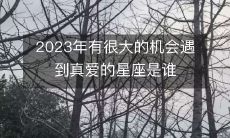 哪些星座在2023年有着极大的机会遇到真爱的机会？