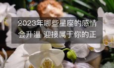 预测2023年哪些星座将迎来感情升级,获得属于自己的美好爱情缘分