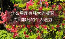 哪些星座拥有出众的个人魅力和卓越的凝聚力？