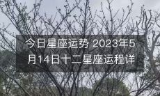 2023年5月14日十二星座的今天运势全面解析！