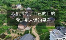 心机深得有些过分，为了达成个人目的而利用欺骗性的谈话技巧的星座分析