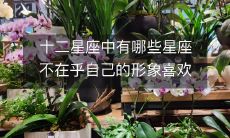 探究哪些星座在意形象，哪些星座喜欢取悦众人，破解十二星座中不择手段的喜欢哗众取宠的星座是哪些？