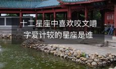 哪个星座在十二星座中喜欢咬文嚼字、计较小节,甚至有点挑剔呢?