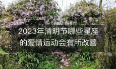 探讨2023年清明节期间，哪些星座的爱情运势将有所提升，为何会出现这样的变化？