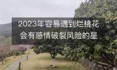 探讨2023年易受烂桃花影响且面临感情破裂危机的星座及其预防策略
