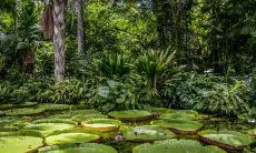 探讨2021年农历正月十四出生宝宝的命运与五行缺陷问题