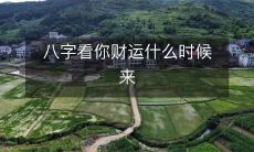 探寻人生财富之门:八字与财运——何时财富才会亲临身旁?