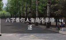 根据八字推断,您的人生是否会顺利?