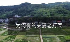 探究夫妻为何会经常发生争吵和冲突,以及解决这种情况的方法和建议