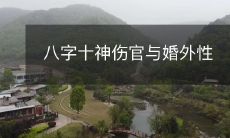 八字十神中的伤官属性如何影响婚外性行为?