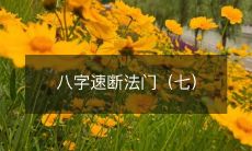 深入探索八字速断法的七大关键步骤
