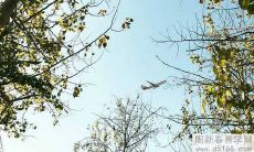 根据传统农历,是否在三月初六出生能否决定一个人的命运?现今出生的男孩和女孩,他们的命运如何?