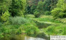 根据农历日期推断,出生于农历三月十四的人命运如何?他们的一生是否幸运?