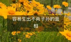 如何避免容易招来不肖后代的相貌特征？