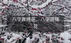 通过八字算命来预测桃花运势