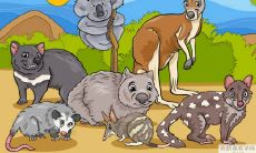 日坐七杀命格的人的整体发展表现如何?