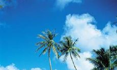 1980年出生的石榴木命人，其财富和婚姻方面的前景如何？