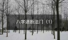 用八字推算实现精准分析人生运势的方法(一)