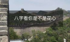 使用八字命理看您是否具有花心倾向