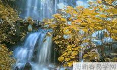 完整解析：究竟什么是食伤泄秀？食伤泄秀的人群适合从事哪些工作？