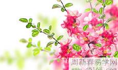 详解正财格女命的婚姻情况及其常见特征