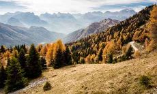 如何查询2020年12月29日出生的人的星座和生辰八字信息？