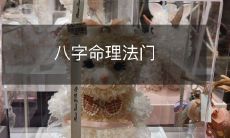 探究命理、预测命运的神秘技艺——掌握八字命理的方法与技巧