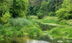 2021年壁上土的土质状况如何？是强势土还是弱势土？这是否意味着它的命运将会好转或恶化？