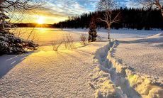 在中国文化中,据说正月初一诞生的男孩会命运坚定、前途无量,这种说法是否真实?