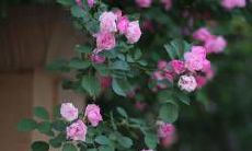 天上火命男和涧下水命女的性格特点、命运轨迹和相处方式，扼要探讨其适合婚姻关系的可能性