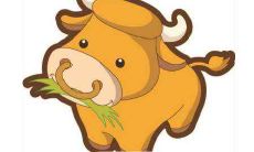 在2021年农历辛丑年正月十一降生的女婴命运如何，五行缺乏哪些元素？