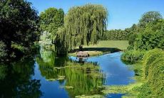 2020年农历十月二十九的宝宝生辰八字如何，命运运势怎么样？五行缺失如何查询？