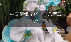 揭秘中国古老的传统文化实践——八字算命:了解人生运势、早知未来趋势的神秘方法