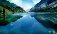 2020年农历十二月二十八日出生的男孩,哪种命格最顺遂?以及根据五行旺缺来进行详细查询