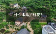 通过使用哪种水晶可以增加招财和爱情的机会?