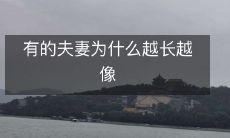 为什么有些夫妻相处时间越长,面容越相似呢?