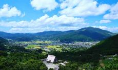 2021年辛丑流年大运与辛未日柱相遇:详细解析流年运势趋势