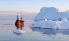 如何解析天上火命和石榴木命的姻缘关系以及相互影响？