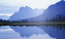 2020年农历十月二十出生的宝宝的五行命盘如何?缺乏哪些五行属性会影响他们的命运?