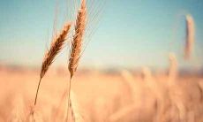 2021年1月3日出生的男孩的八字命运如何，今日出生男宝宝五行缺乏哪些元素？