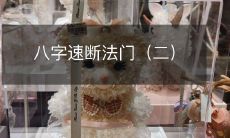 如何利用八字速断法门迅速揭示一个人的性格、命运和潜能（二）