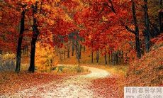 探究男宝宝于农历腊月二十四出生,对其事业与感情运势的影响