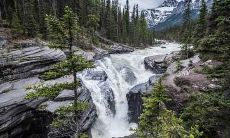 2020年庚子农历十一月十六日出生的男宝宝五行特性分析:是否存在缺失之处?