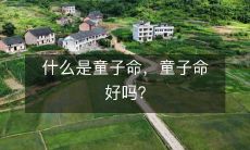 童子命的含义及其优劣性如何?