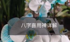详细解析八字中吉利的喜用神及其作用