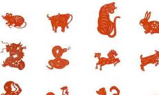 2020年除夕夜诞生的宝宝八字分析:探究五行缺失之处