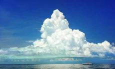 在2020年农历十一月二十二小寒出生的孩子，根据五行学说，有哪些缺陷和优点呢？