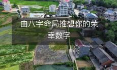 通过八字命盘的分析预测你的荣幸数字