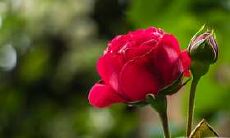 坐财位日冲刑意义深远，会对婚姻关系产生怎样的影响？